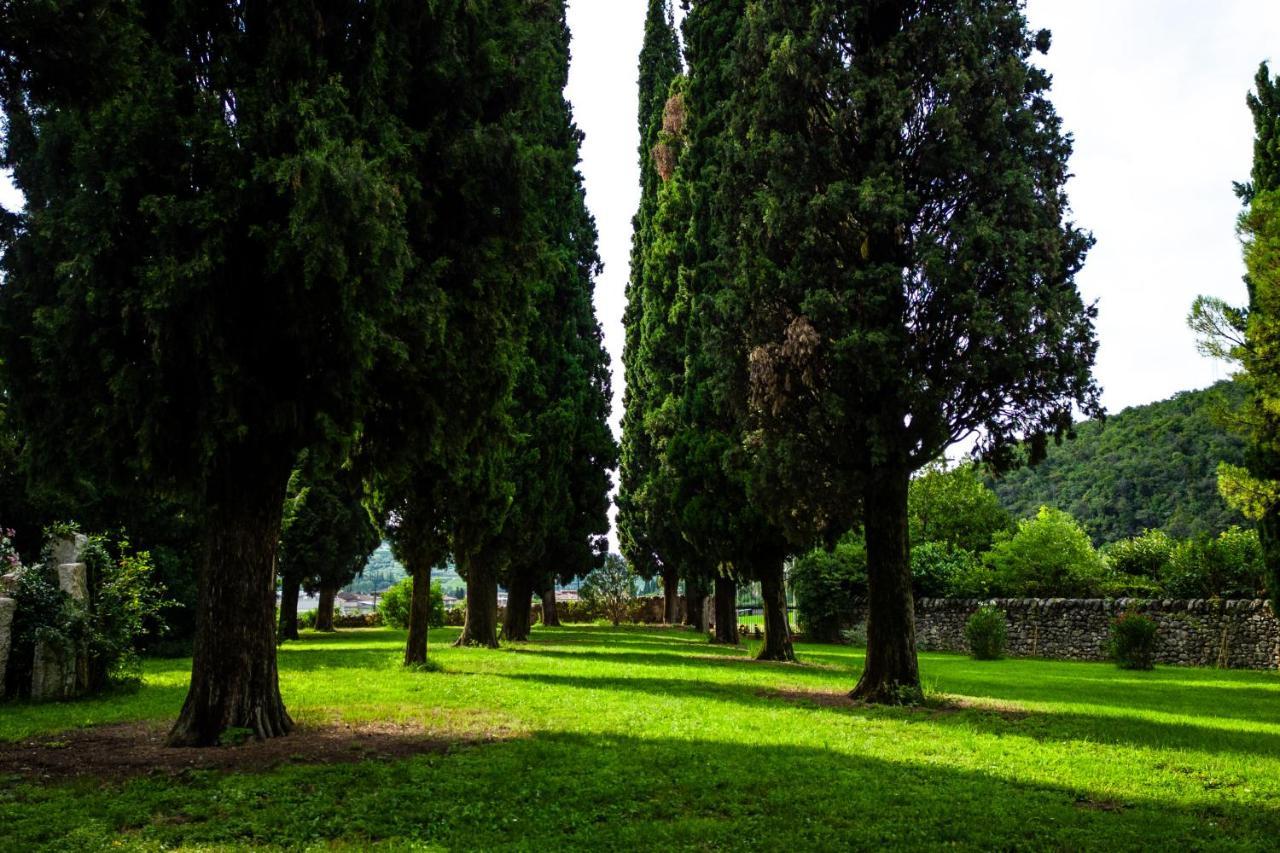 Villa Carrara Salvadori グレッツァーナ エクステリア 写真